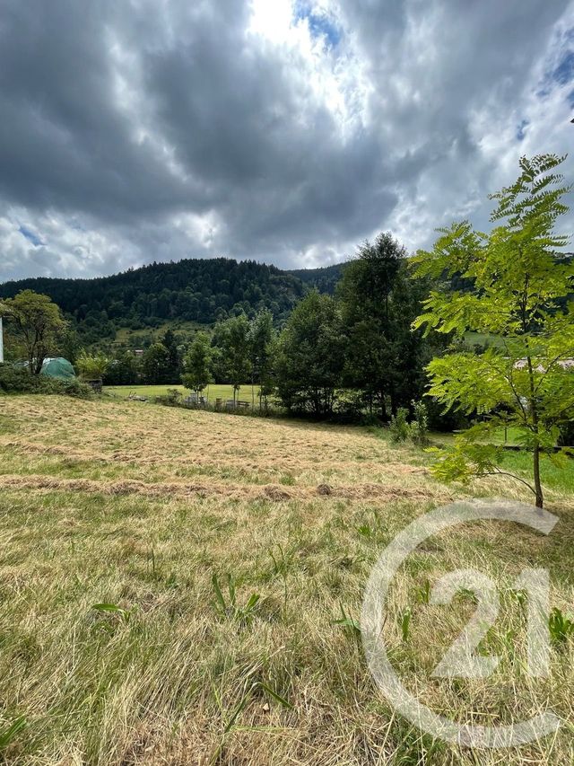 terrain à vendre - 760.0 m2 - LA BRESSE - 88 - LORRAINE - Century 21 Marion Et Colin